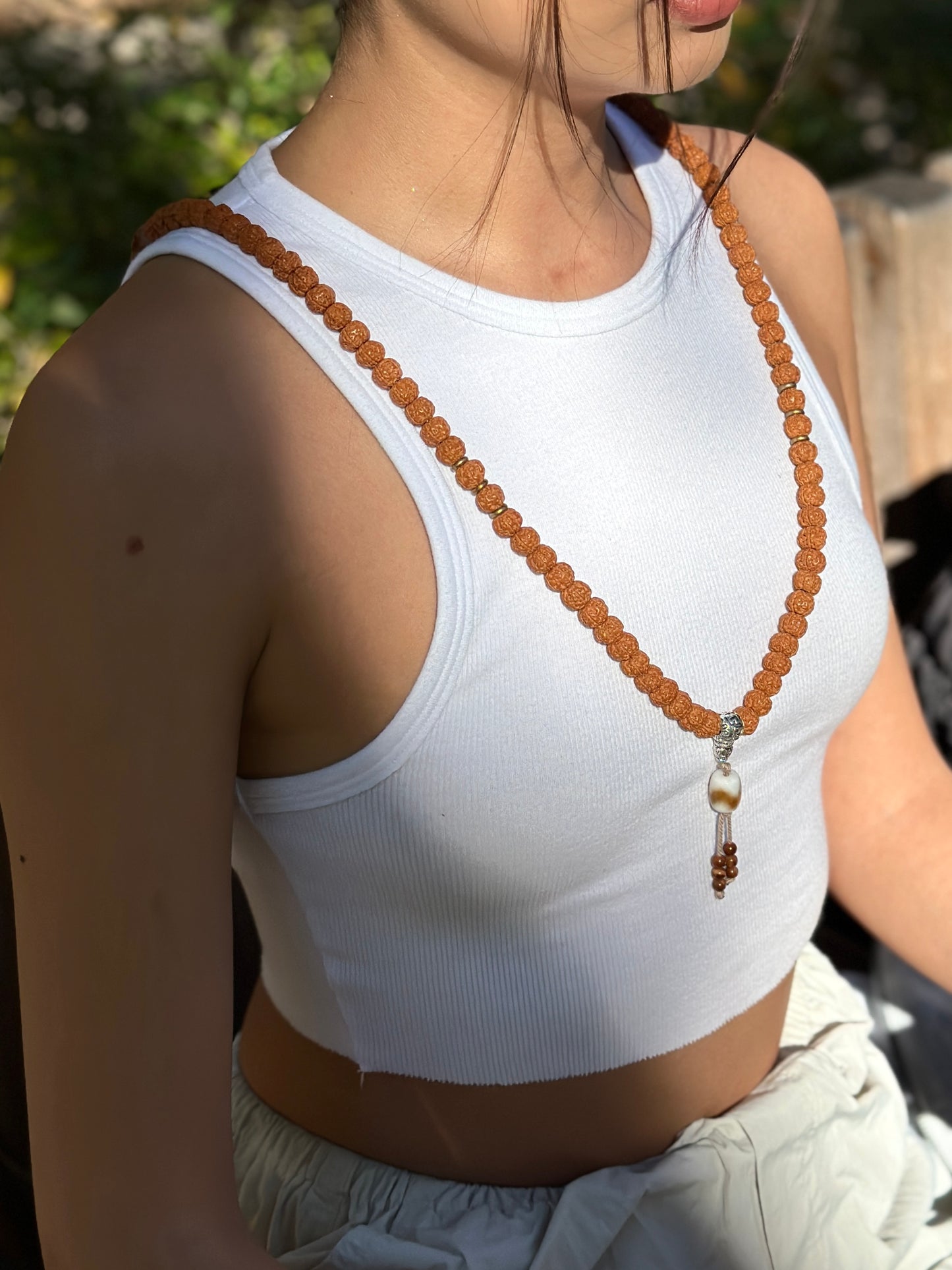 Rudraksha & Dzi Protection Mala